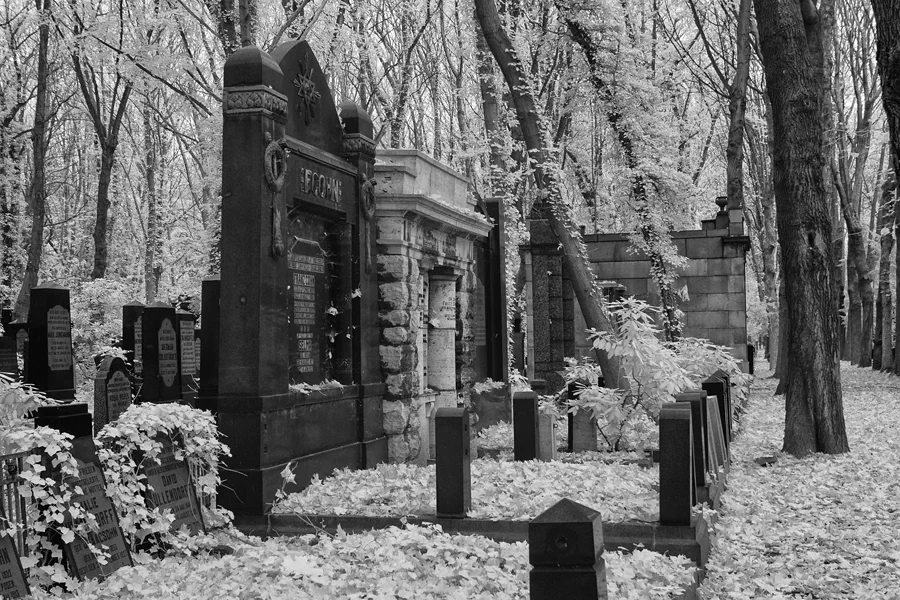 014 | 2014 | Berlin | Jüdischer Friedhof Berlin-Weissensee | © carsten riede fotografie
