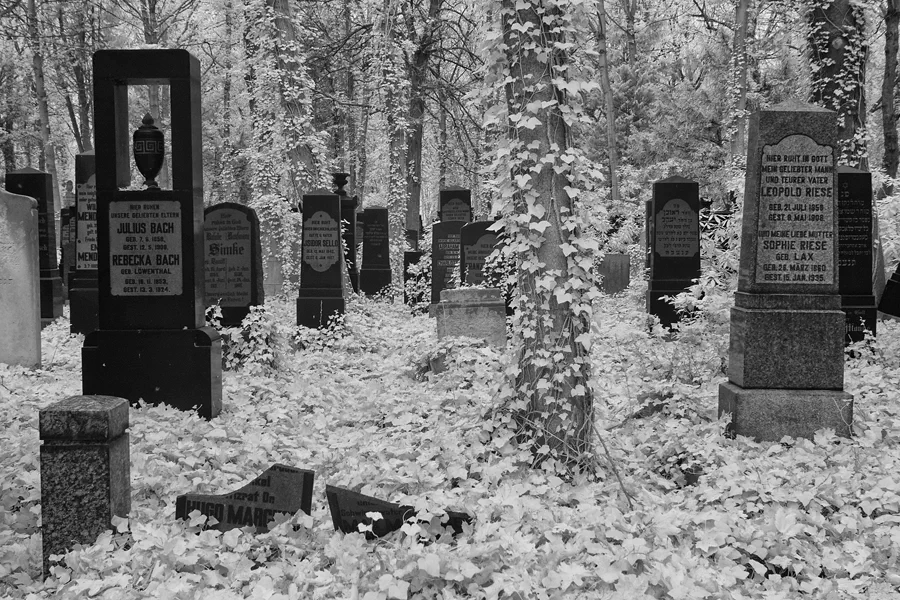 017 | 2014 | Berlin | Jüdischer Friedhof Berlin-Weissensee | © carsten riede fotografie