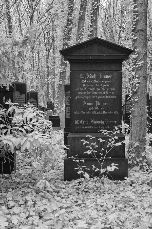 020 | 2014 | Berlin | Jüdischer Friedhof Berlin-Weissensee | © carsten riede fotografie