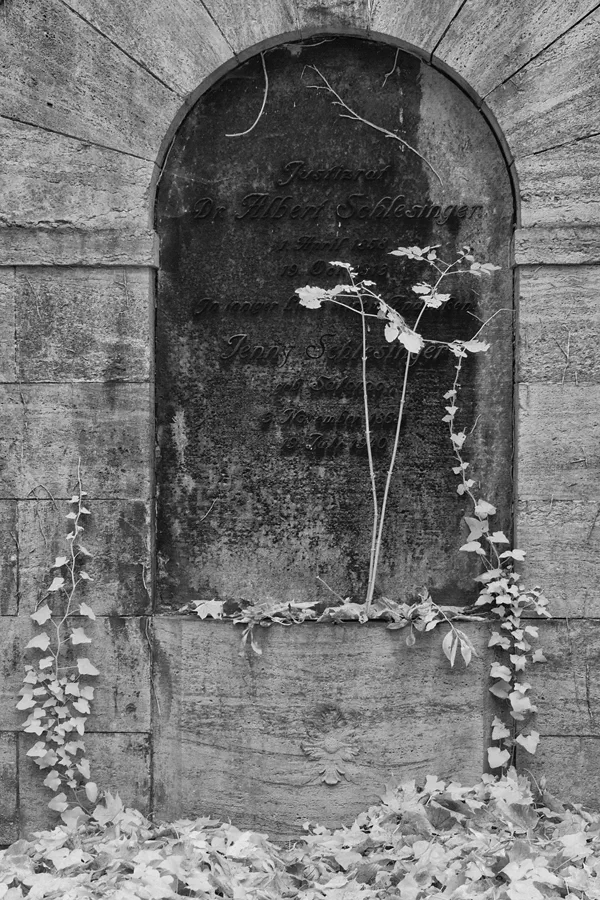 026 | 2014 | Berlin | Jüdischer Friedhof Berlin-Weissensee | © carsten riede fotografie