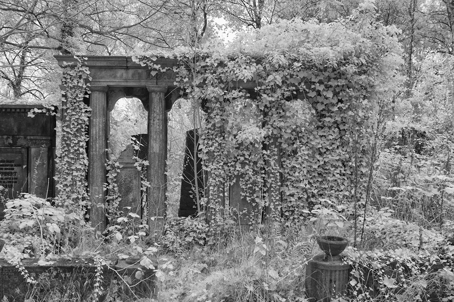 044 | 2014 | Berlin | Jüdischer Friedhof Berlin-Weissensee | © carsten riede fotografie