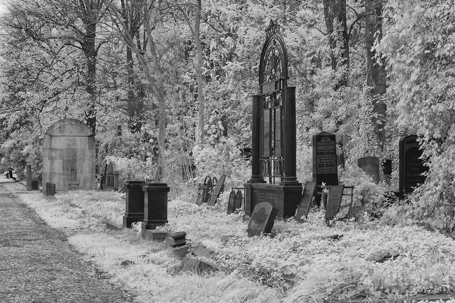 056 | 2014 | Berlin | Jüdischer Friedhof Berlin-Weissensee | © carsten riede fotografie