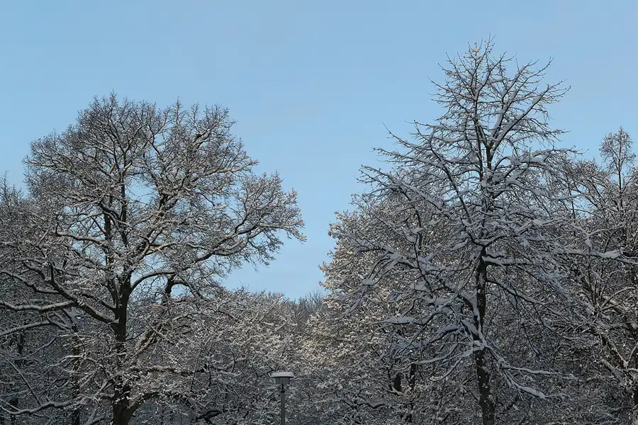 001 | 2014 | Berlin | Waldowstrasse | © carsten riede fotografie