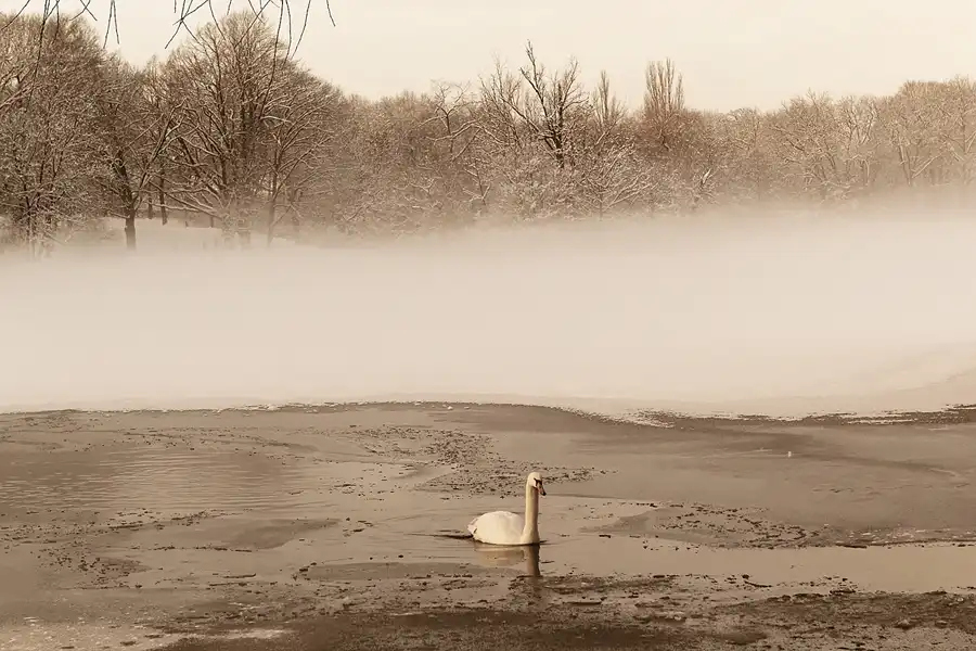 006 | 2014 | Berlin | Obersee-Orankesee-Park | © carsten riede fotografie