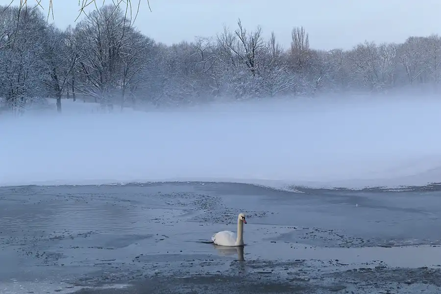 007 | 2014 | Berlin | Obersee-Orankesee-Park | © carsten riede fotografie