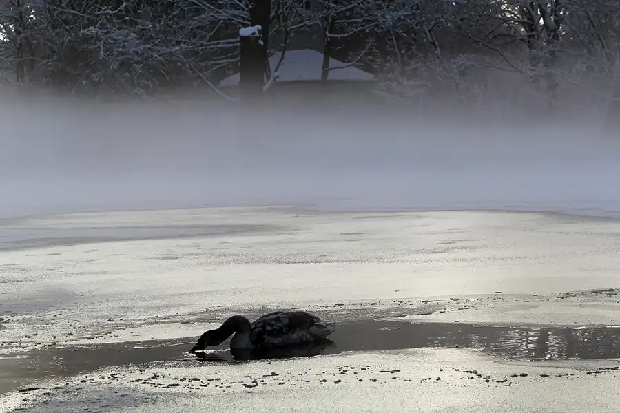 010 | 2014 | Berlin | Obersee-Orankesee-Park | © carsten riede fotografie
