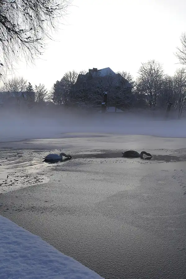 011 | 2014 | Berlin | Obersee-Orankesee-Park | © carsten riede fotografie