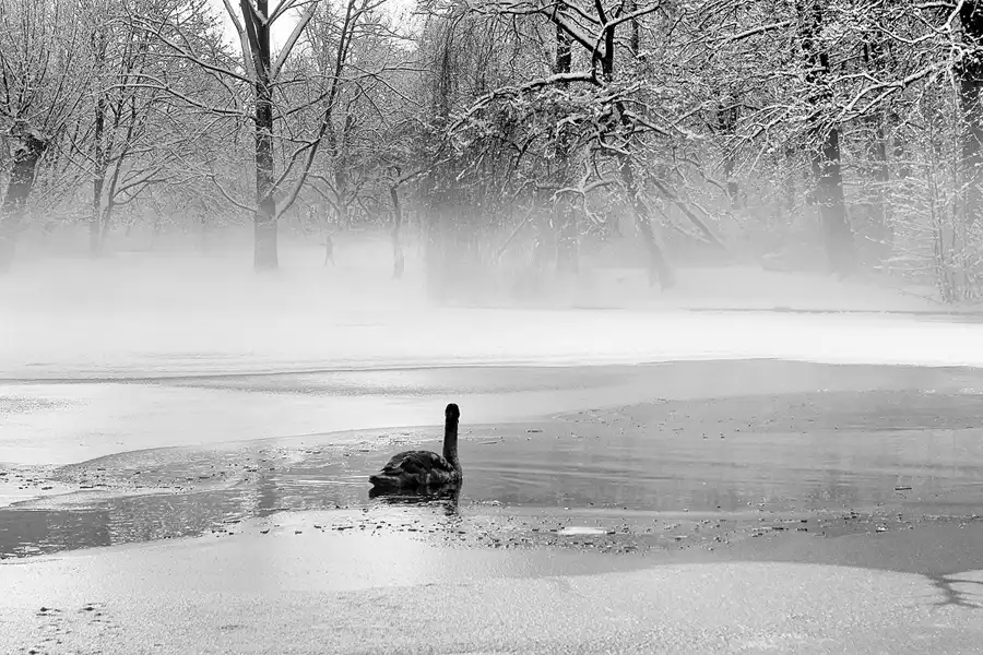 013 | 2014 | Berlin | Obersee-Orankesee-Park | © carsten riede fotografie