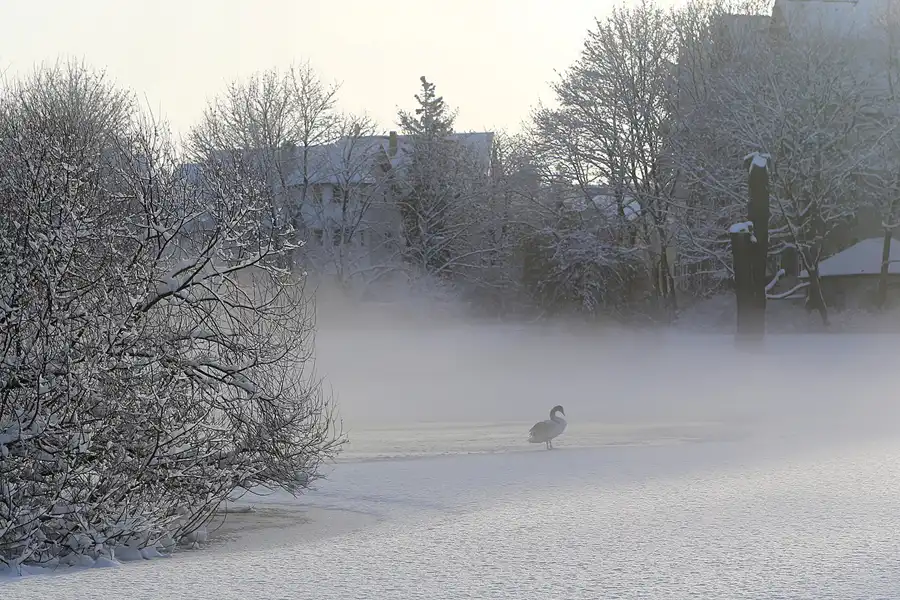 022 | 2014 | Berlin | Obersee-Orankesee-Park | © carsten riede fotografie