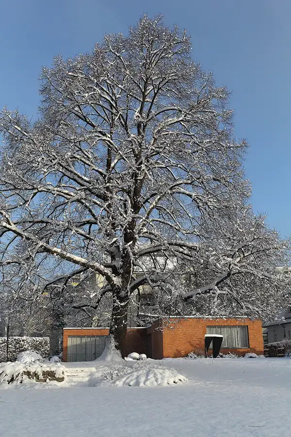 025 | 2014 | Berlin | Obersee-Orankesee-Park | © carsten riede fotografie