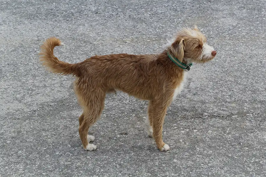 036 | 2015 | Gorafe | © carsten riede fotografie