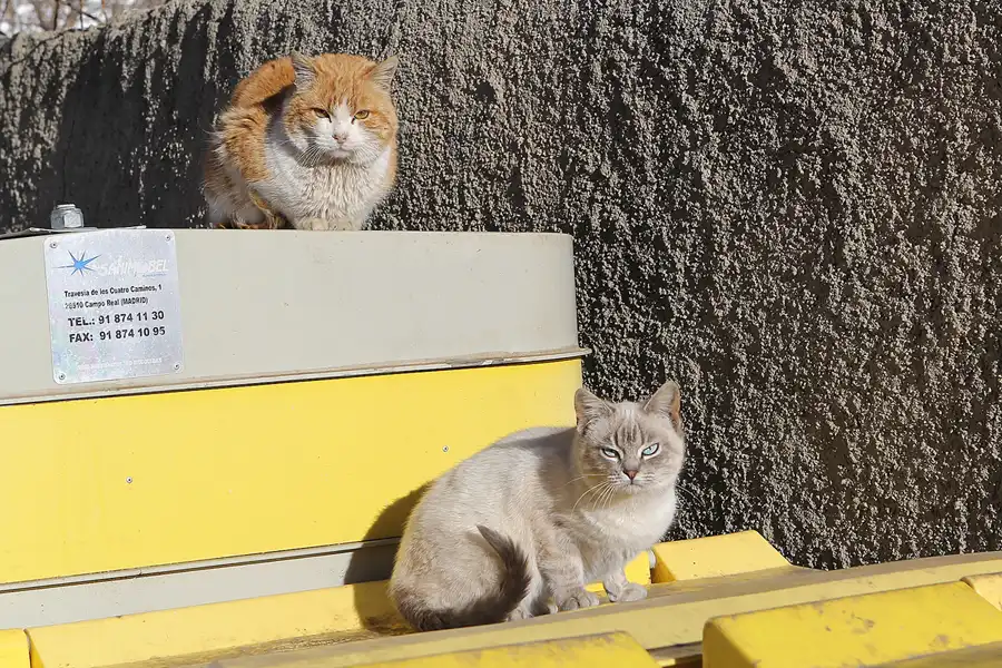 139 | 2015 | La Calahorra | © carsten riede fotografie