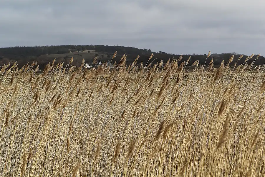 011 | 2015 | Hiddensee | © carsten riede fotografie