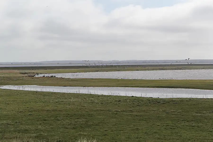 014 | 2015 | Hiddensee | © carsten riede fotografie