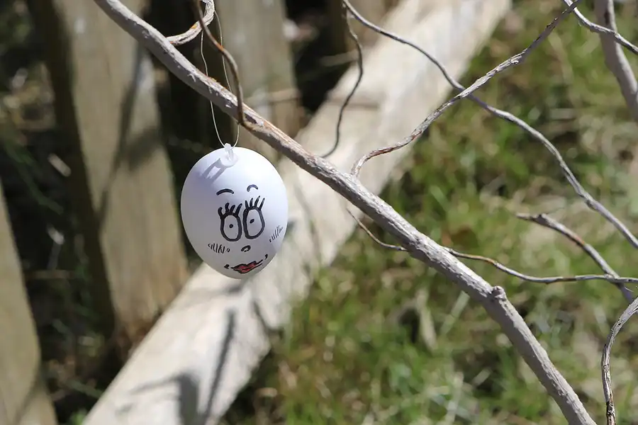 019 | 2015 | Hiddensee | © carsten riede fotografie