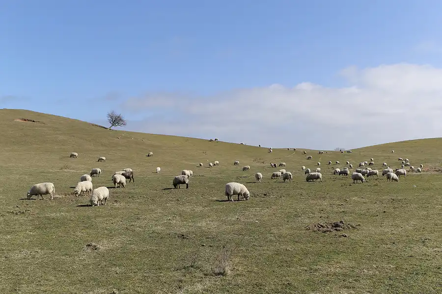 042 | 2015 | Hiddensee | © carsten riede fotografie