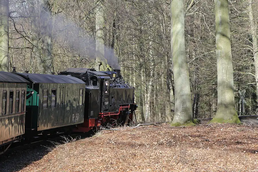 101 | 2015 | Granitz | Rasender Roland | © carsten riede fotografie