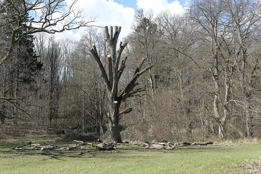 136 | 2015 | Putbus | © carsten riede fotografie