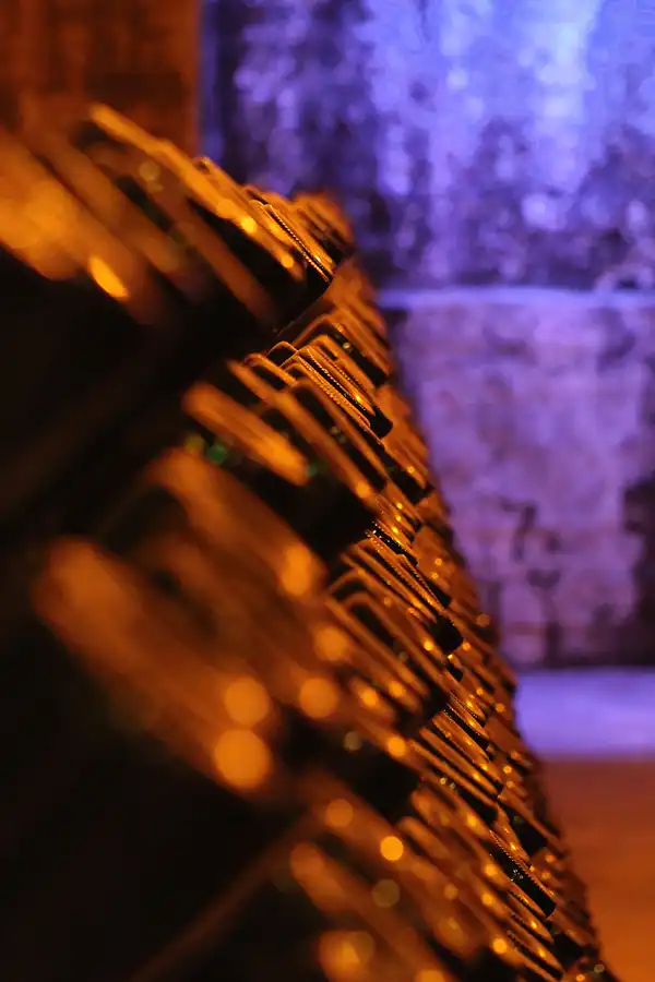 024 | 2015 | Freyburg (Unstrut) | Rotkäppchen Sektkellerei | © carsten riede fotografie