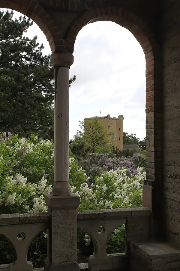 039 | 2015 | Ballenstedt OT Rieder | Roseburg | © carsten riede fotografie