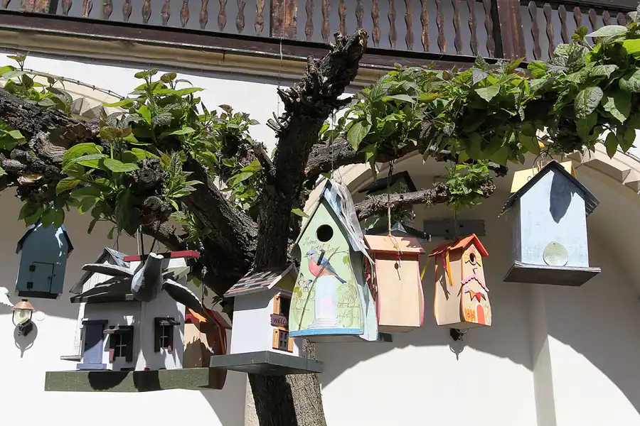 042 | 2015 | Lutherstadt Wittenberg | © carsten riede fotografie