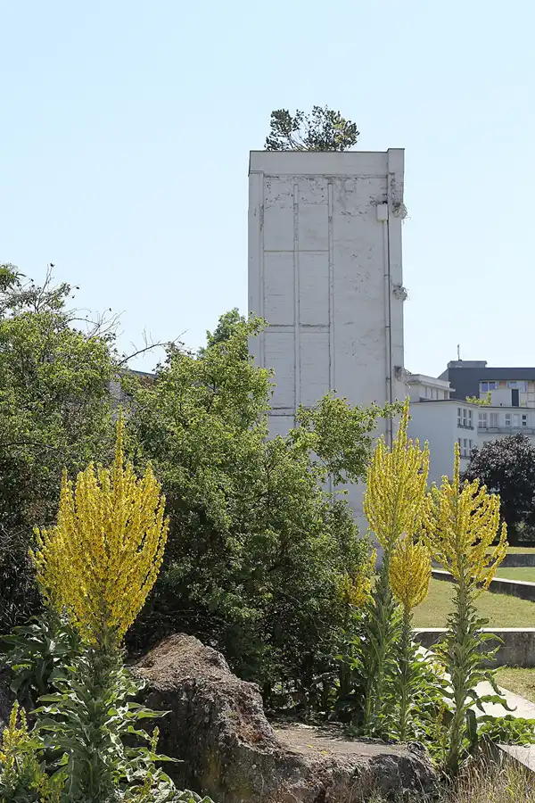 108 | 2015 | Duisburg | Innenhafen | © carsten riede fotografie