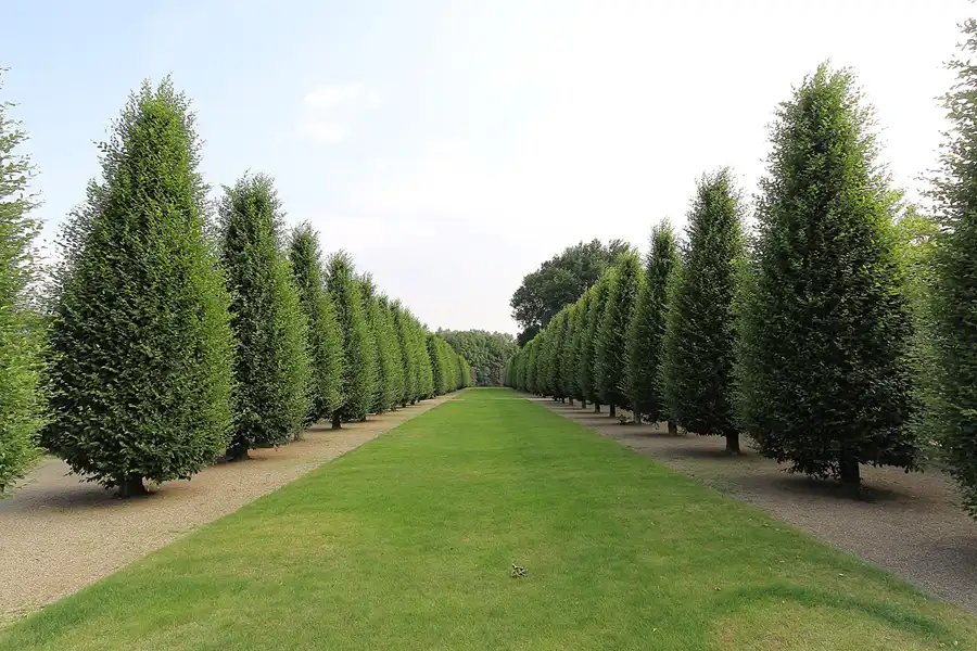 302 | 2015 | Kamp-Lintfort | Kloster Kamp | © carsten riede fotografie