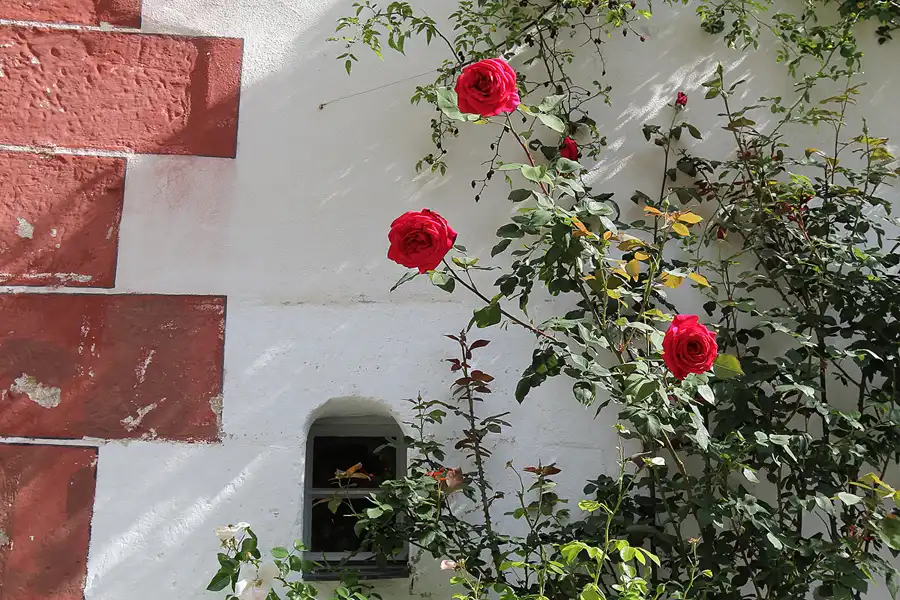 087 | 2015 | Egloffstein | Burg | © carsten riede fotografie