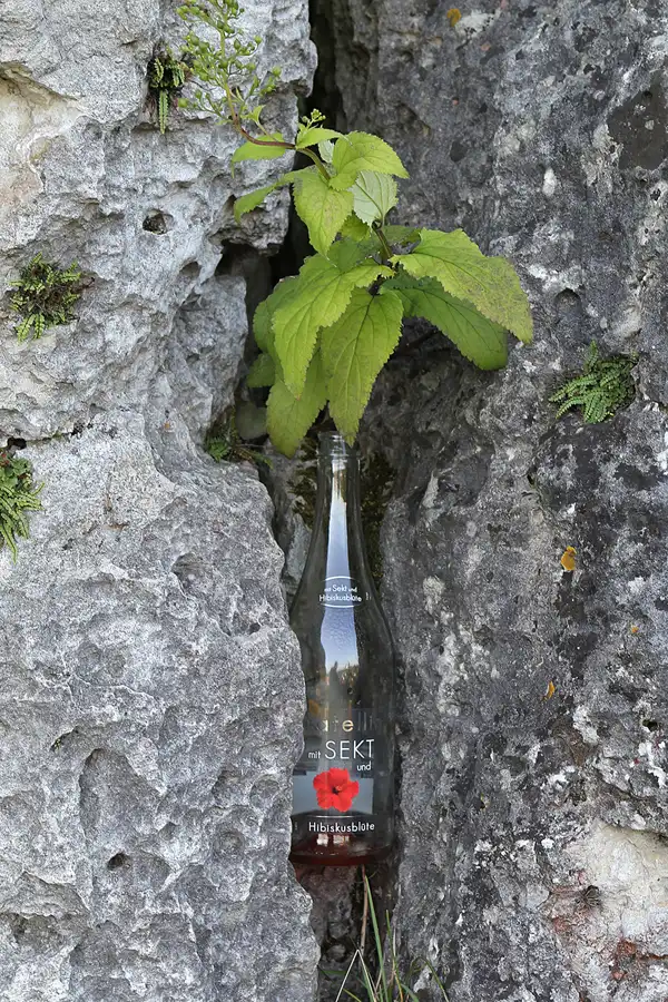 123 | 2015 | Gössweinstein | © carsten riede fotografie