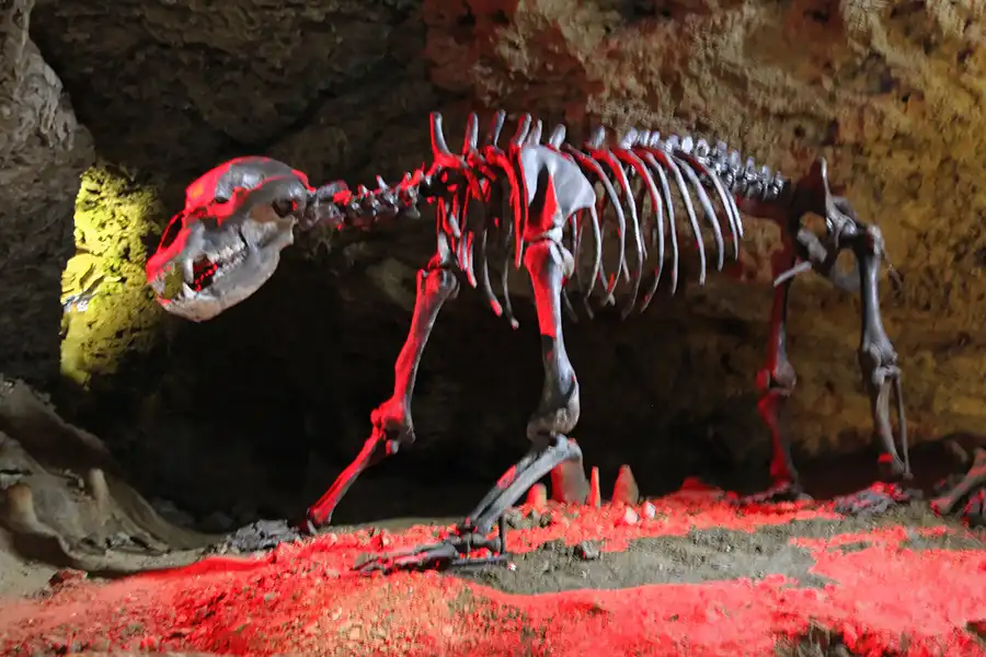 160 | 2015 | Pottenstein | Teufelshöhle | © carsten riede fotografie