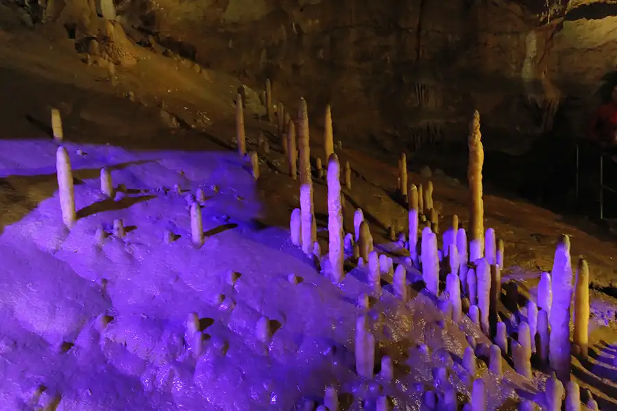 162 | 2015 | Pottenstein | Teufelshöhle | © carsten riede fotografie