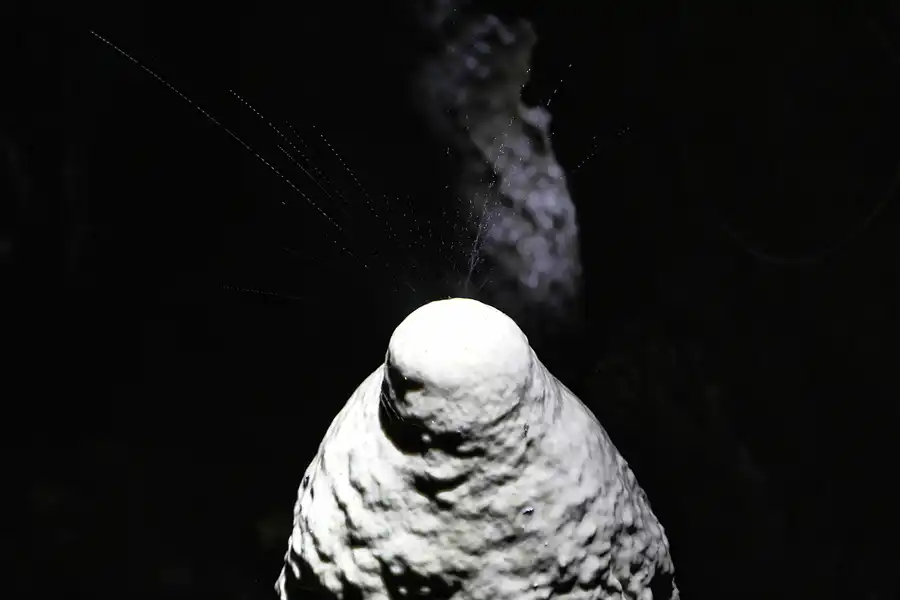 025 | 2015 | Ahorntal | Sophienhöhle – Sophie At Night | © carsten riede fotografie