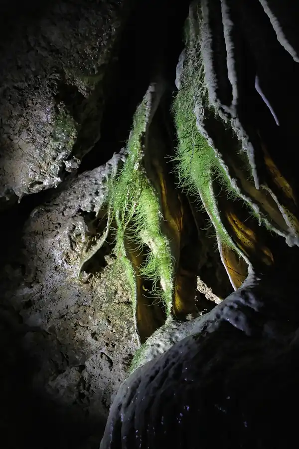 040 | 2015 | Ahorntal | Sophienhöhle – Sophie At Night | © carsten riede fotografie