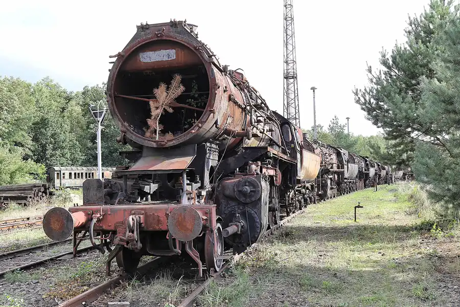 056 | 2015 | Falkenberg/Elster | Loksammlung Falkenberg | © carsten riede fotografie