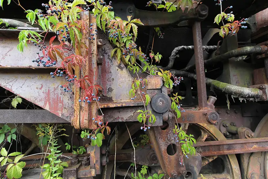 134 | 2015 | Falkenberg/Elster | Loksammlung Falkenberg | © carsten riede fotografie