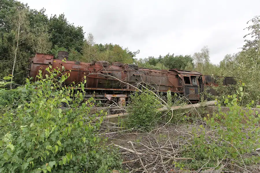 136 | 2015 | Falkenberg/Elster | Loksammlung Falkenberg | © carsten riede fotografie