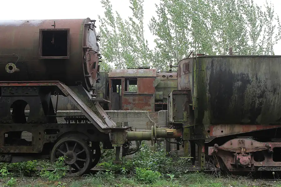 171 | 2015 | Falkenberg/Elster | Loksammlung Falkenberg | © carsten riede fotografie