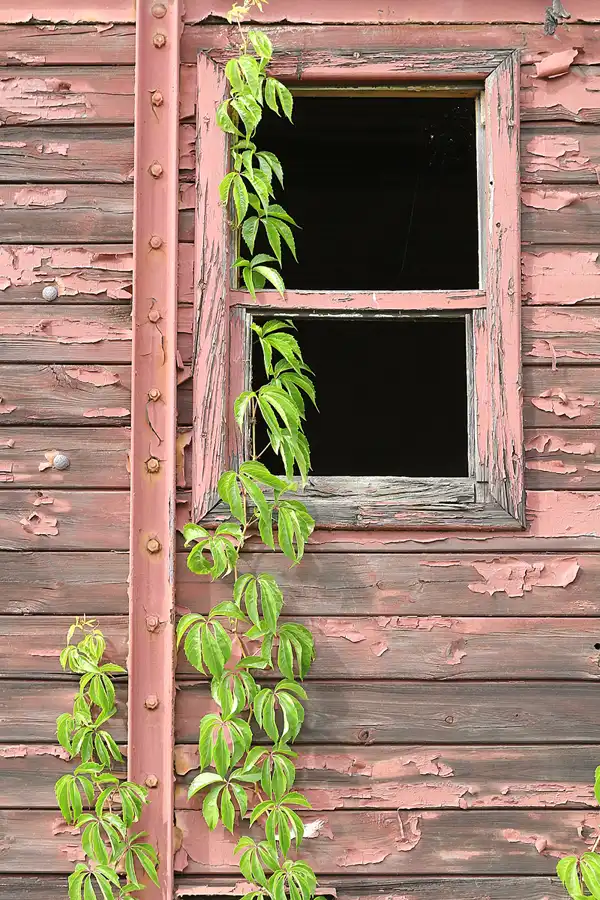 179 | 2015 | Falkenberg/Elster | Loksammlung Falkenberg | © carsten riede fotografie