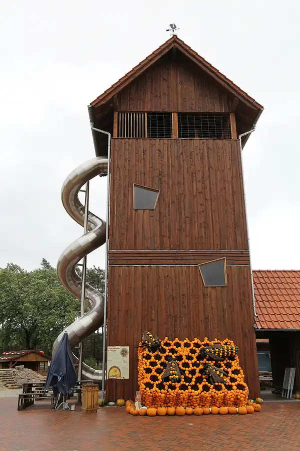008 | 2015 | Beelitz GT Klaistow | Kürbisausstellung – Bienenwabe = 4500 Kürbisse | © carsten riede fotografie