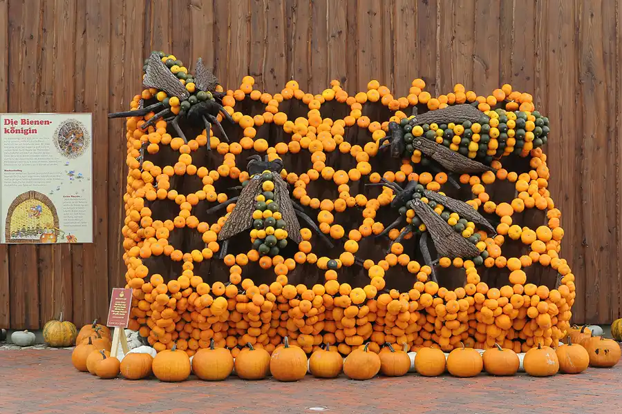 009 | 2015 | Beelitz GT Klaistow | Kürbisausstellung – Bienenwabe = 4500 Kürbisse | © carsten riede fotografie