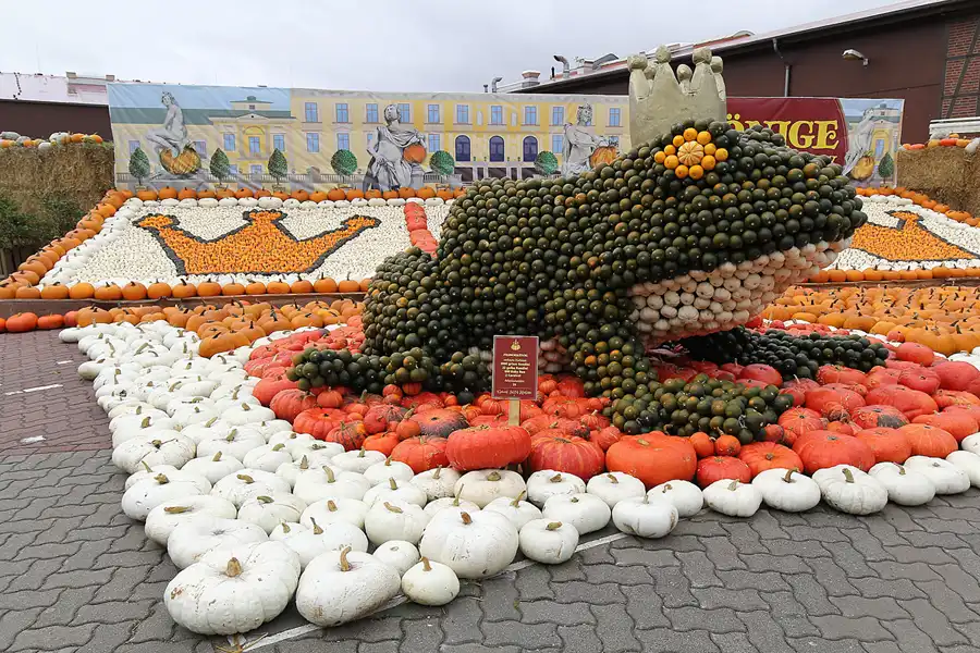 013 | 2015 | Beelitz GT Klaistow | Kürbisausstellung – Froschkönig = 3624 Kürbisse | © carsten riede fotografie