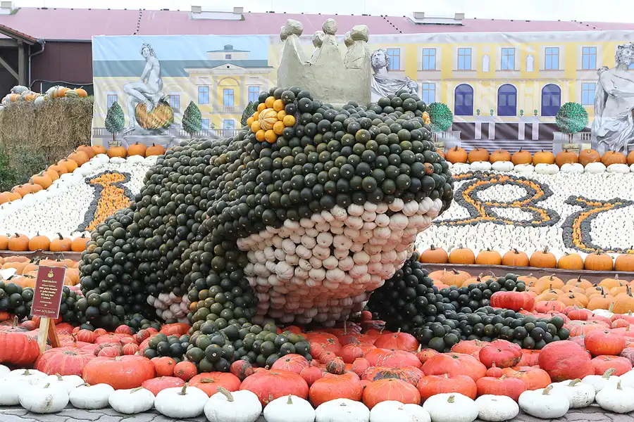 014 | 2015 | Beelitz GT Klaistow | Kürbisausstellung – Froschkönig = 3624 Kürbisse | © carsten riede fotografie