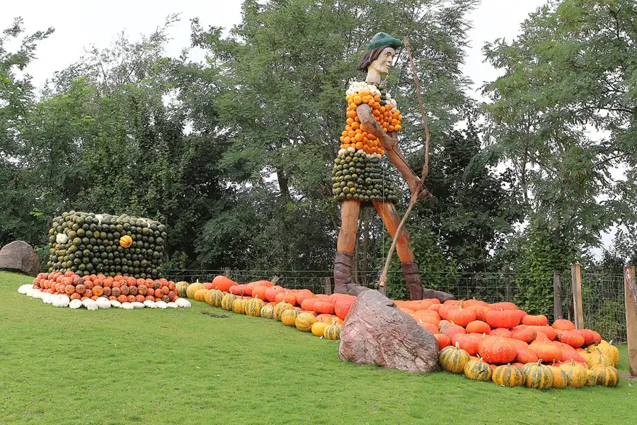 022 | 2015 | Beelitz GT Klaistow | Kürbisausstellung – Robin Hood = 1800 Kürbisse | © carsten riede fotografie