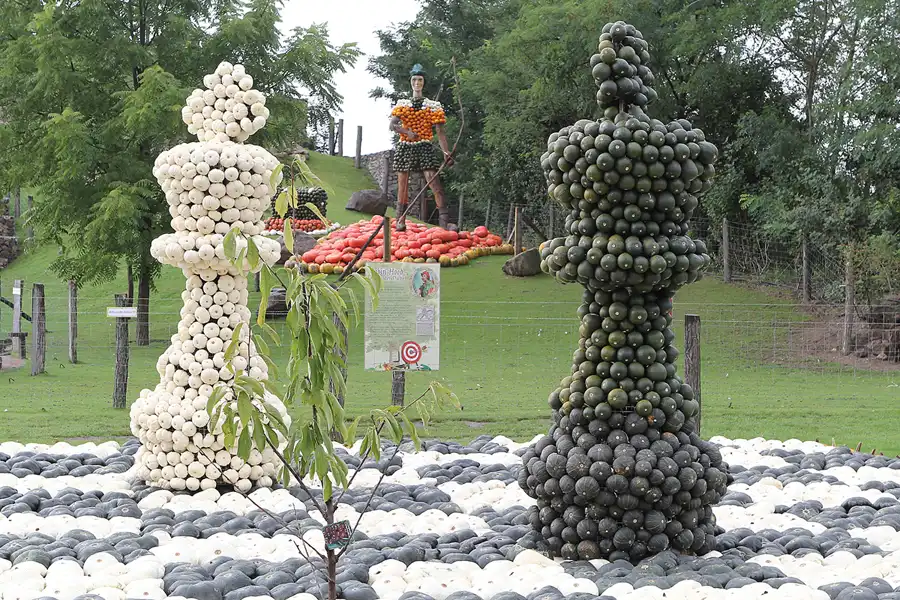 027 | 2015 | Beelitz GT Klaistow | Kürbisausstellung – Schachfiguren = 4600 Kürbisse | © carsten riede fotografie