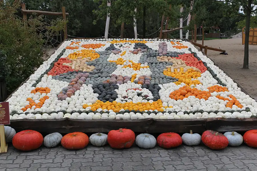028 | 2015 | Beelitz GT Klaistow | Kürbisausstellung – Spielkarte = 4550 Kürbisse | © carsten riede fotografie