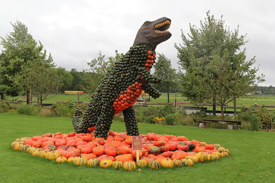 033 | 2015 | Beelitz GT Klaistow | Kürbisausstellung – Tyrannosaurus Rex = 2700 Kürbisse | © carsten riede fotografie