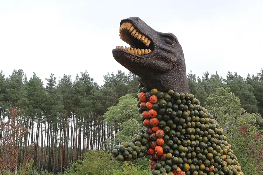 035 | 2015 | Beelitz GT Klaistow | Kürbisausstellung – Tyrannosaurus Rex = 2700 Kürbisse | © carsten riede fotografie