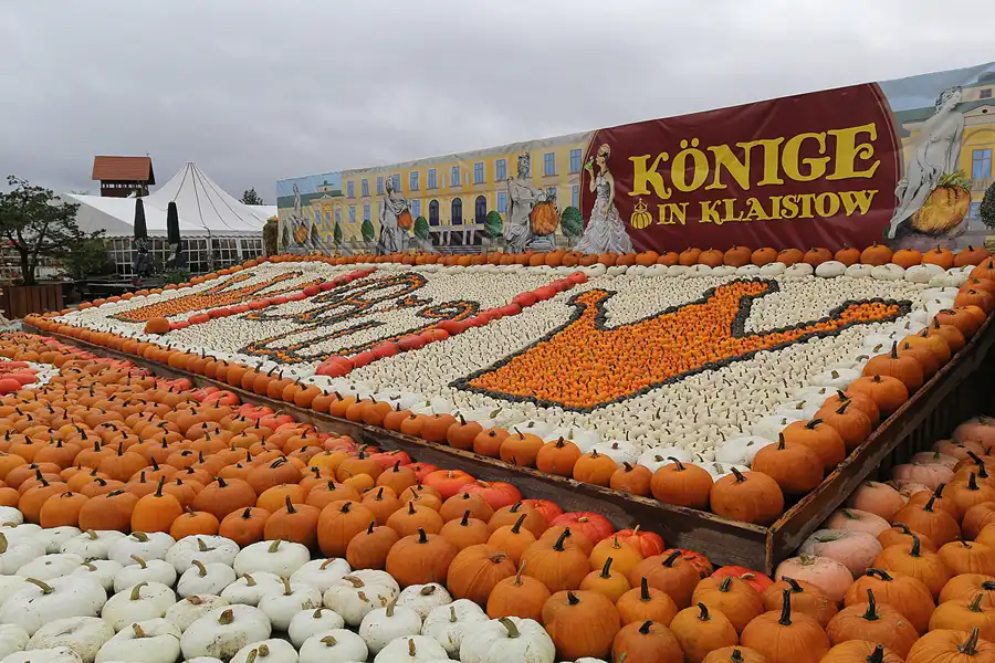 036 | 2015 | Beelitz GT Klaistow | Kürbisausstellung | © carsten riede fotografie