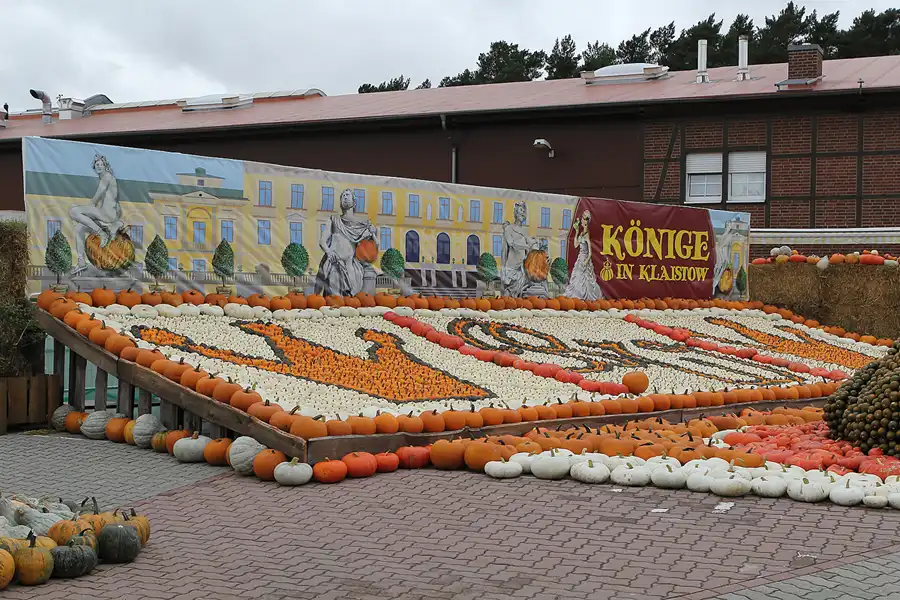 038 | 2015 | Beelitz GT Klaistow | Kürbisausstellung | © carsten riede fotografie