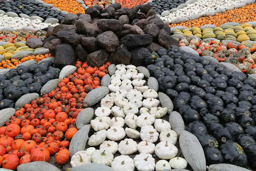 041 | 2015 | Beelitz GT Klaistow | Kürbisausstellung | © carsten riede fotografie